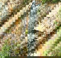 Private Tour - Rainforest  Waterfalls Extravaganza - Tourism Guide