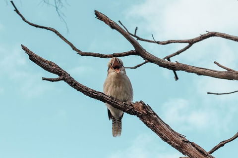 Highlights Of Kings Park - Travel Search 0