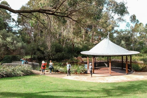 Highlights Of Kings Park - Travel Search 1