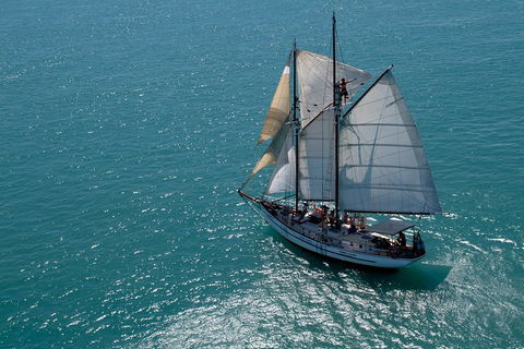 Whitehaven Beach Sailing And Snorkeling Cruise - Tourism Guide 1