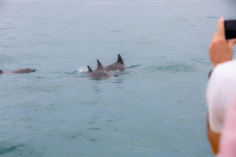 Noosa Oceanrider Scenic Dolphin Safari - Travel Agents 2