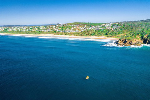 Noosa Oceanrider Scenic Dolphin Safari - Travel Agents 4