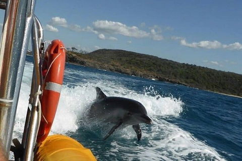 Noosa Oceanrider - Adventure Tour - Tourism Guide 1