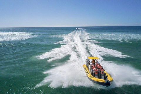 Noosa Oceanrider - Adventure Tour - Tourism Guide 2