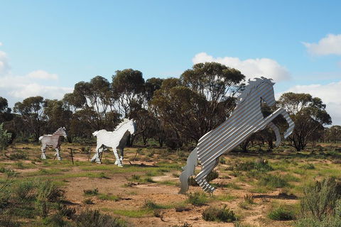 Wave Rock, Wild Flowers And Astro Photography - Tourism Guide 5