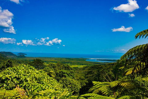 Cape Tribulation Day Tour - Tourism Guide 3
