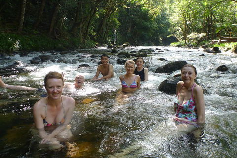 Daintree Rainforest, Cape Tribulation, Mossman Gorge Small-Group Day Tour - Cruises Travel 0