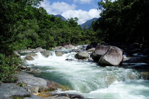 Daintree Rainforest, Cape Tribulation, Mossman Gorge Small-Group Day Tour - Cruises Travel 5