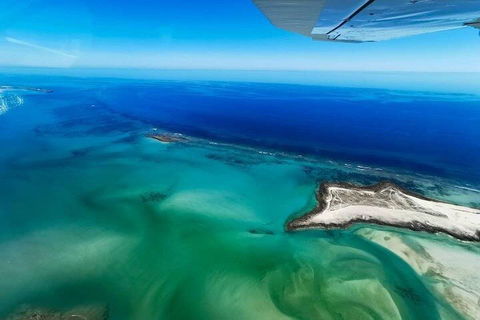 Wet Season Incredible Islands Tour - Horizontal Falls & Cygnet Bay Pearl Farm - Tourism Guide 4