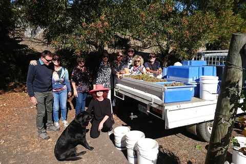 Valleys Of Vino Tour - Travel Agents 1