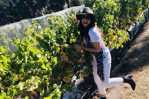 Valleys Of Vino Tour - Travel Agents 3