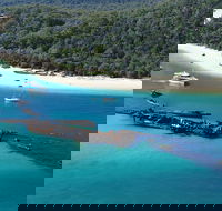 All Inclusive Tangalooma Wrecks Cruise Tour From Gold Coast - Tourism Guide
