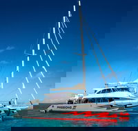 Passions of Paradise Great Barrier Reef Snorkel and Dive Cruise from Cairns by Luxury Catamaran - Tourism Guide