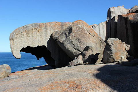 Kangaroo Island Personal Group Tours - Tourism Guide 2