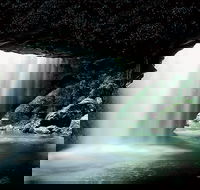 Natural Bridge Glow Worm Night Tour from Gold Coast - Tourism Guide