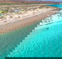 Ningaloo in a Day - Full Day Hike and Snorkel Tour with Lunch - Tourism Guide