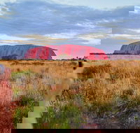 Uluru Ayers Rock Sunset with Outback Barbecue Dinner and Star Tour - Tourism Guide