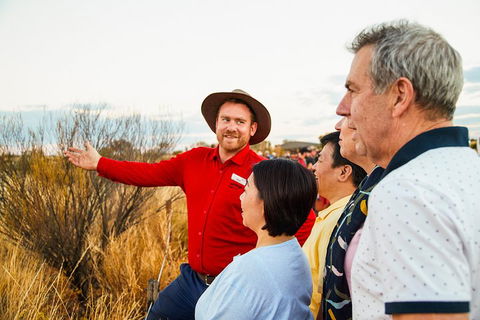 Uluru (Ayers Rock) Sunset With Outback Barbecue Dinner And Star Tour - Travel Agents 3