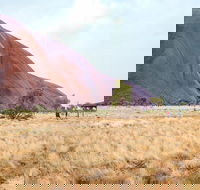 Uluru Sunrise and Guided Base Walk - Tourism Guide