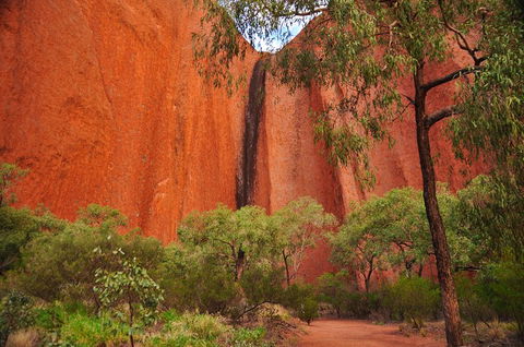 Uluru Sunrise And Guided Base Walk - Travel Search 3