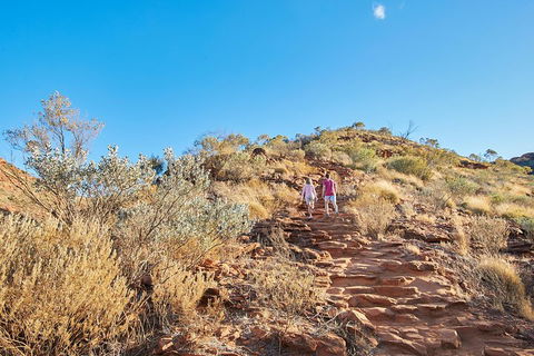 Kings Canyon Guided Rim Walk - Cruises Travel 1