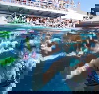 Great Barrier Reef Day Cruise from Cairns Including Snorkeling and Marine Biologist Presentation - Tourism Guide