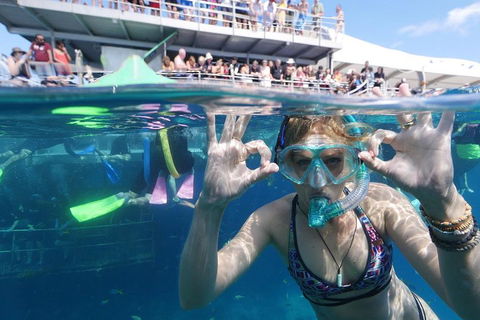 Great Barrier Reef Day Cruise From Cairns Including Snorkeling And Marine Biologist Presentation - Travel Search 0