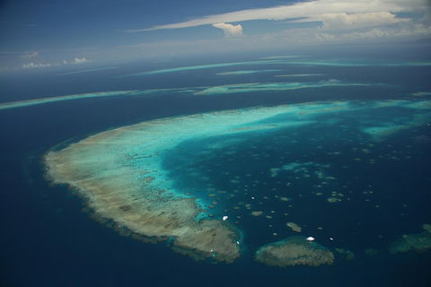 Great Barrier Reef Day Cruise From Cairns Including Snorkeling And Marine Biologist Presentation - Travel Search 1