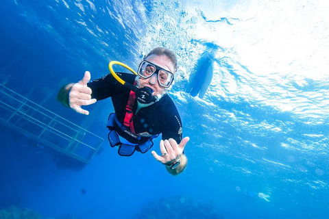 Great Barrier Reef Day Cruise From Cairns Including Snorkeling And Marine Biologist Presentation - Travel Search 3