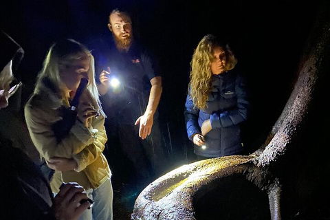 Evening Rainforest & Glow Worm Experience - Cruises Travel 2