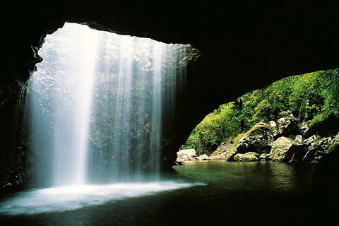 Natural Bridge & Springbrook Waterfalls Tour - Tourism Guide 0