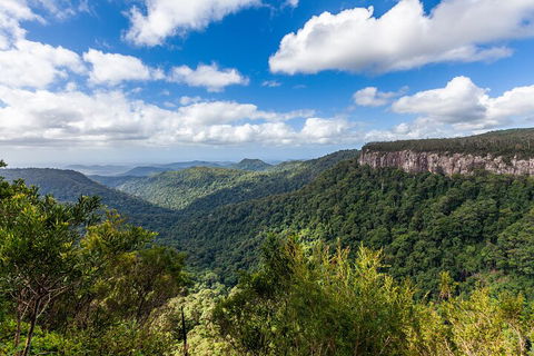 Natural Bridge & Springbrook Waterfalls Tour - Tourism Guide 1