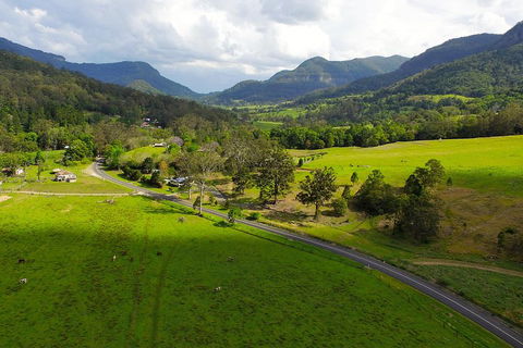 Natural Bridge & Springbrook Waterfalls Tour - Tourism Guide 2