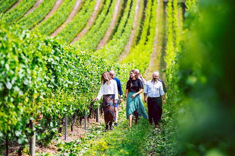 Tasmanian Wine Tour - Tourism Guide 0