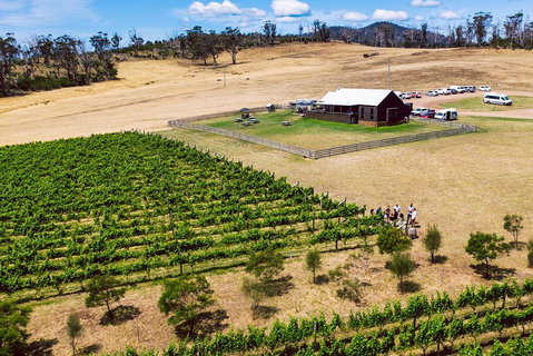 Tasmanian Wine Tour - Tourism Guide 3