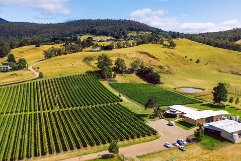 Tasmanian Wine Tour - Tourism Guide 4