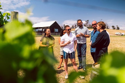 Tasmanian Wine Tour - Tourism Guide 5