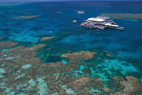 Ultimate 3-Day Great Barrier Reef Cruise Pass - Tourism Guide 3