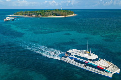Ultimate 3-Day Great Barrier Reef Cruise Pass - Tourism Guide 4