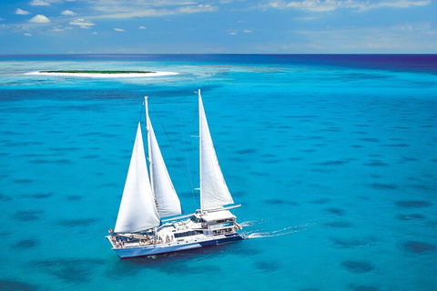Ultimate 3-Day Great Barrier Reef Cruise Pass - Tourism Guide 5