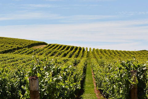 West Tamar Wine Tour - Tourism Guide 2