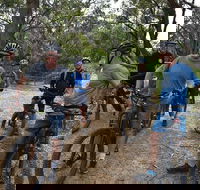 Fully guided E-Mountain Bike Tour on the beautiful Mornington Peninsula. - Tourism Guide