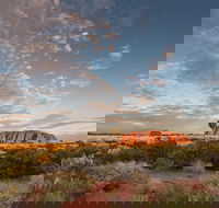 Uluru Kata Tjuta and Kings Canyon Camping Safari from Alice Springs - Tourism Guide