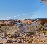 The Amazing Kings Canyon 4-Hours Walking Tour and Hike - Tourism Guide
