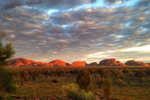 5-Hour Kata Tjuta Sunrise Tour From Ayers Rock With Breakfast - Travel Search 1