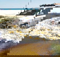 Full-Day Moreton Island 4x4 Sightseeing Tour - Tourism Guide
