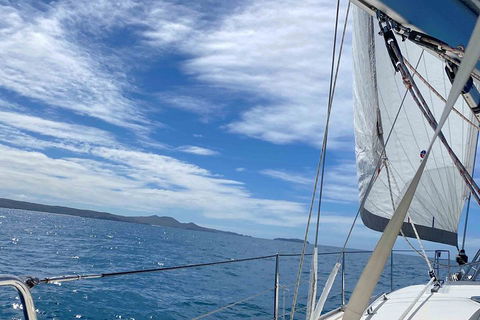 Sailing Curlew Escape On Moreton Bay - Tourism Guide 4