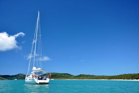 Sailing Curlew Escape On Moreton Bay - Tourism Guide 5