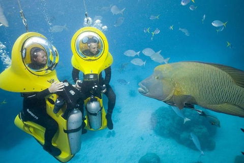Great Barrier Reef Adventure From Cairns - Travel Search 2