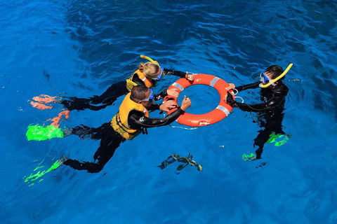 Great Barrier Reef Adventure From Cairns - Travel Search 3